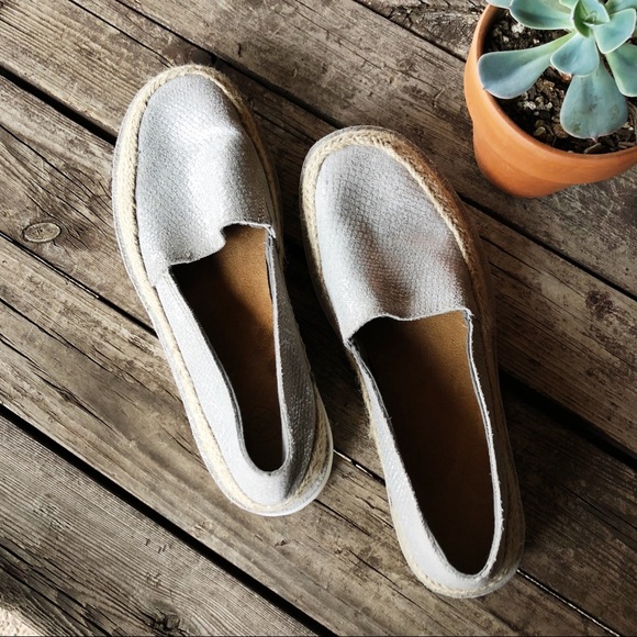 silver ariat cruiser